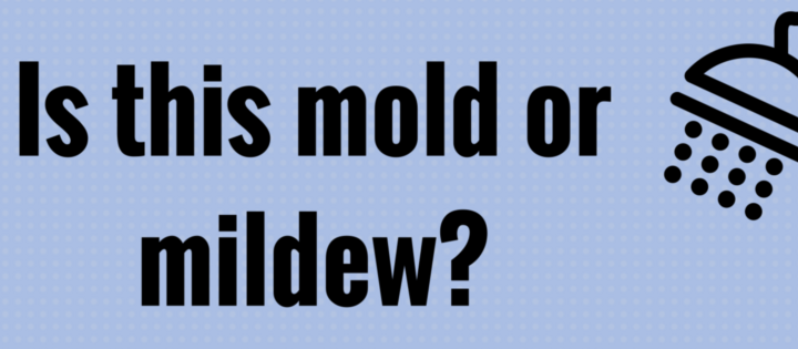 Is this mold or mildew- (1)