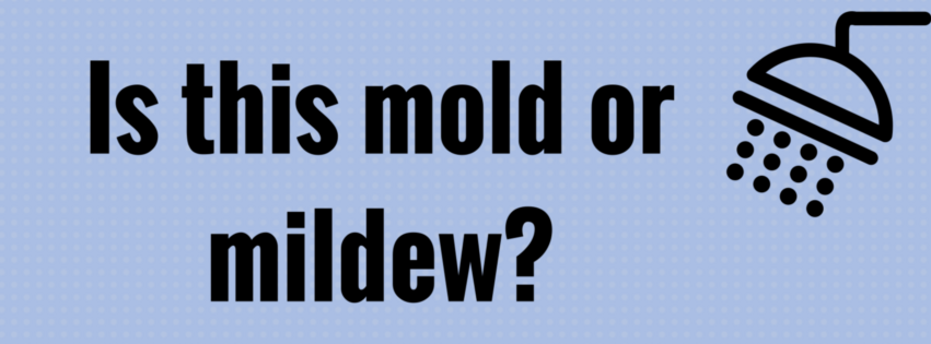 Mold or Mildew | Dianne Perry & Company Blog